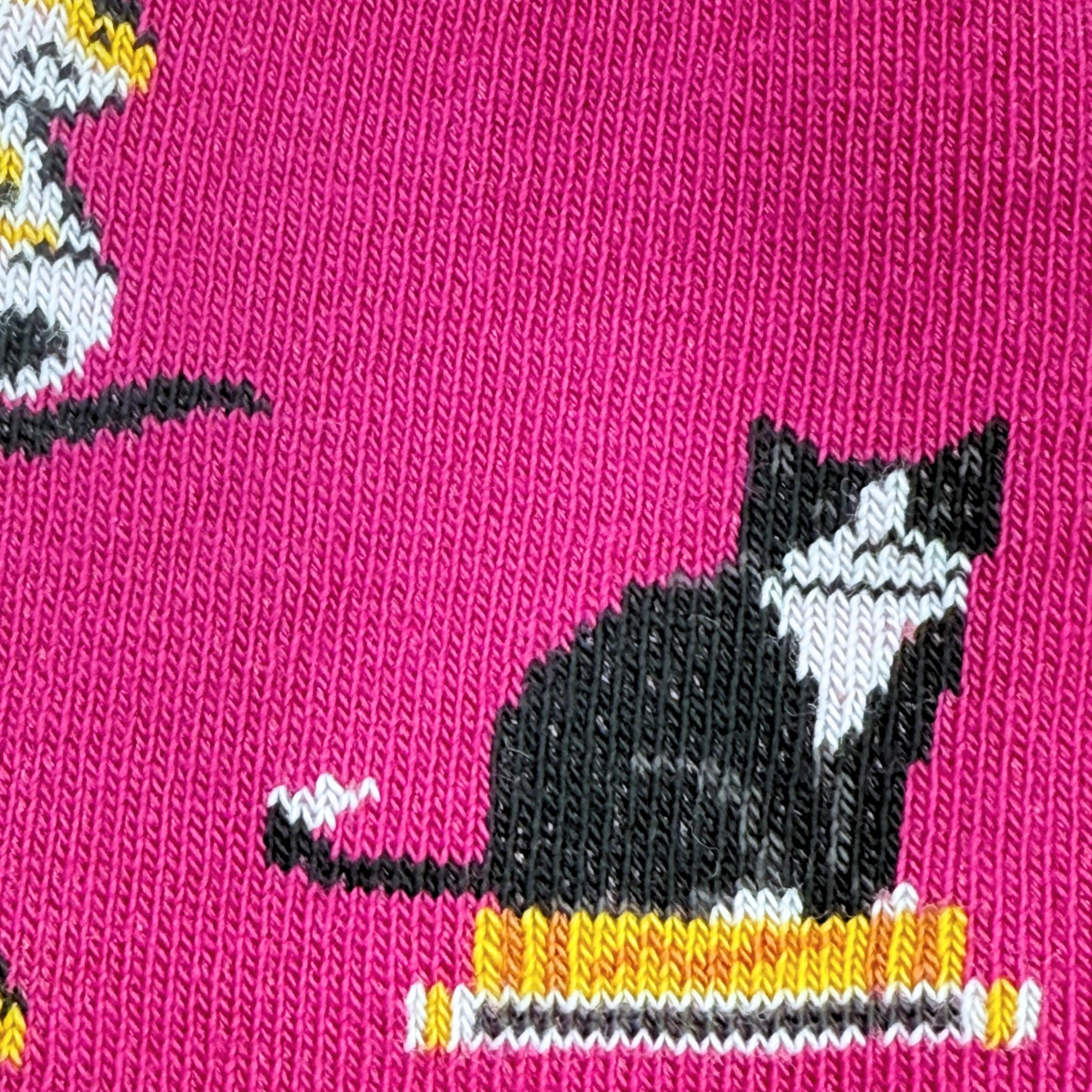 Friday Sock Co. - Chaussettes Chats Enfant: Moyen (Âge 4-7)