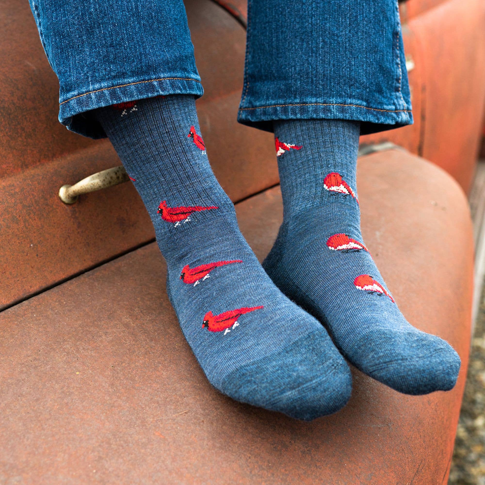 Friday Sock Co. - Chaussettes en laine mérinos Cardinal & Robin pour hommes
